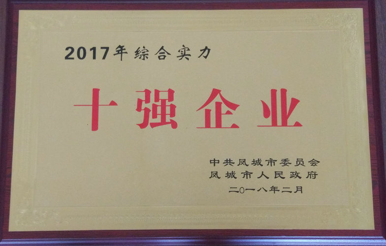 十强企业 2017.jpg