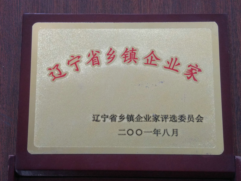 辽宁乡镇企业家 2001.jpg